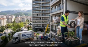 Evcil Hayvanlarınız ve Bitkilerinizle Stressiz Taşınmanın Sırları